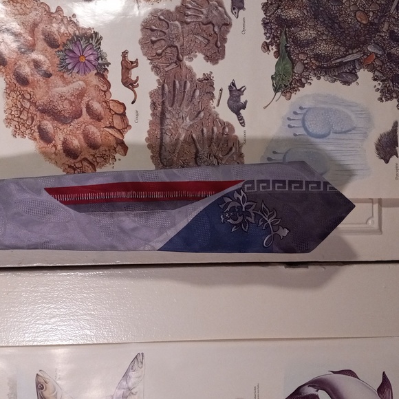 Pacific creations men's tie 100% silk - Picture 3 of 5